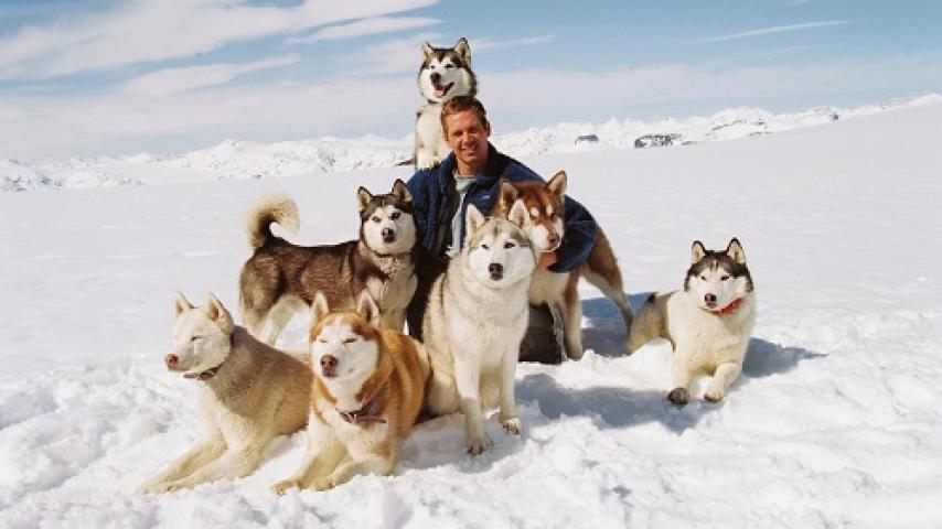 مشاهدة فيلم Eight Below 2006 مترجم شاهد فور يو