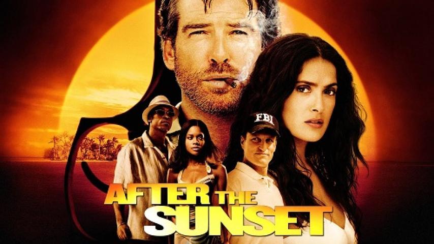 مشاهدة فيلم After the Sunset 2004 مترجم شاهد فور يو